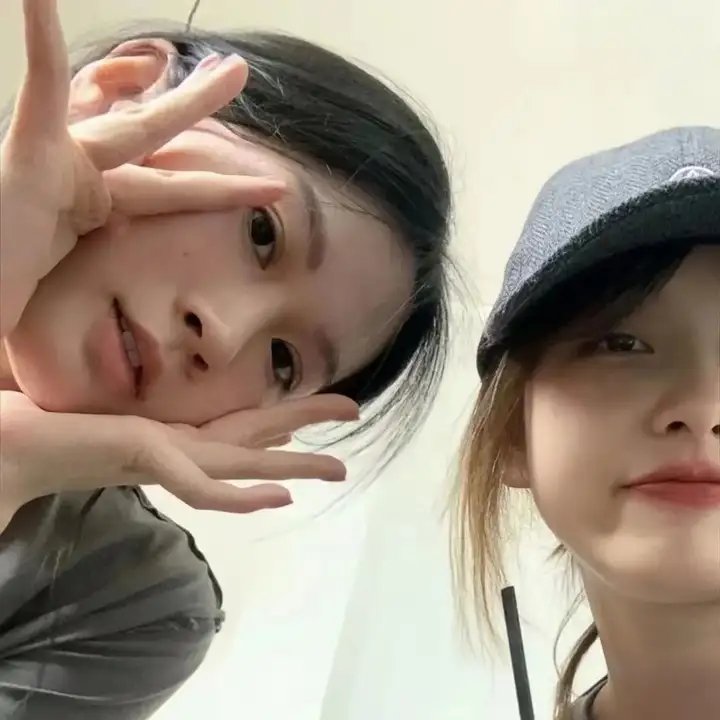 挎斗摩托车里的狗